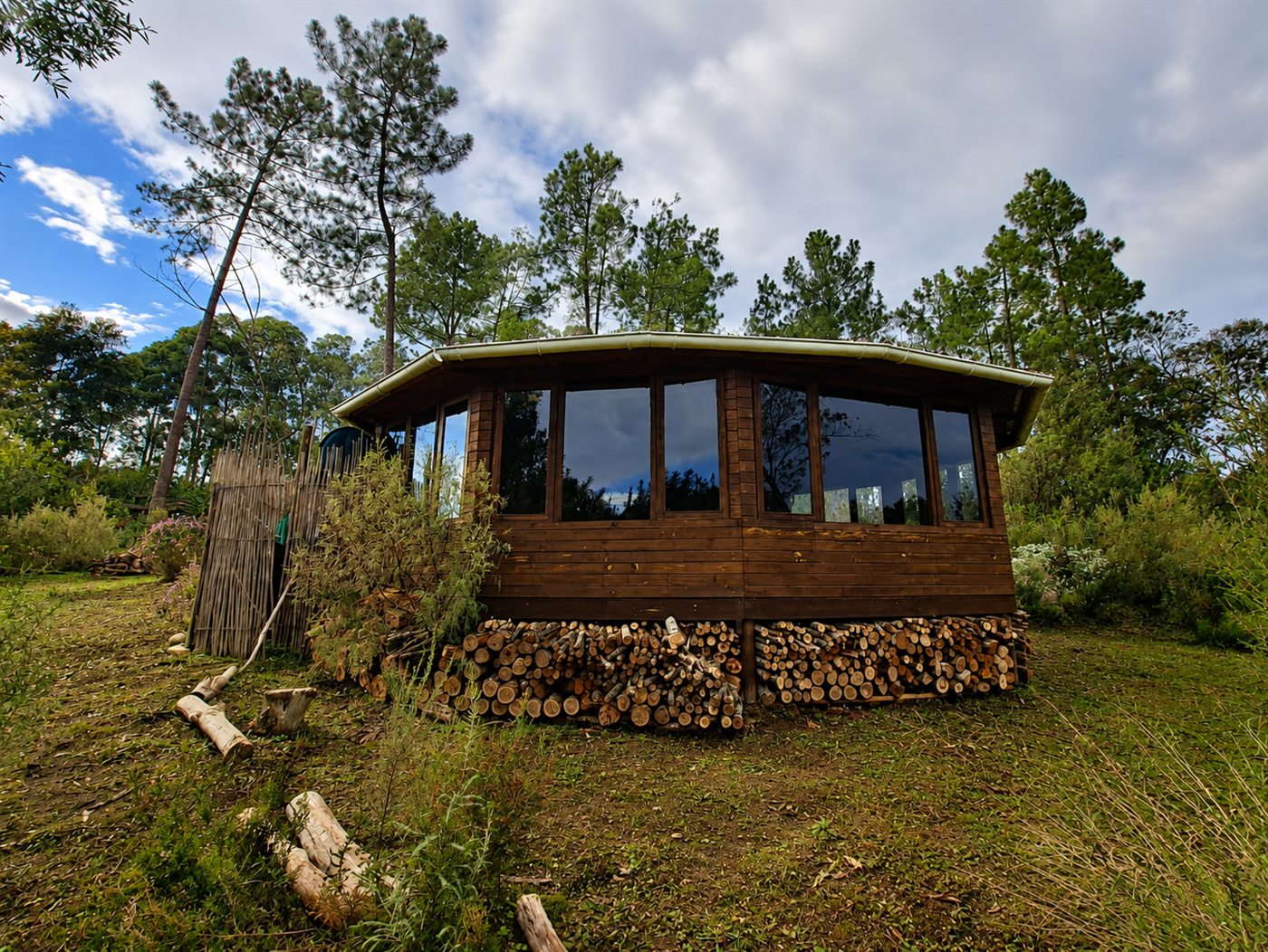 The wooden studio from outside, firewood stacked beneath it, pines behind